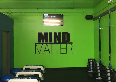 Mind over Matter Wall Vinyl